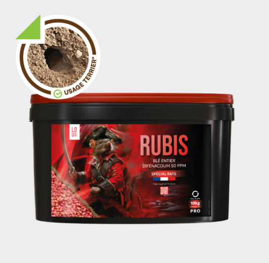 RUBIS GRAIN BLÉ ENTIER VRAC 10KG